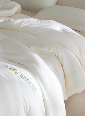 安芯丝超柔软高排湿保暖秋冬单双人被子春秋被芯家用超软云朵大豆