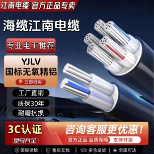 江南电缆 YJLV铝芯电缆 1 2 3 4 5芯10 16 120平方 VLV铝芯架空线