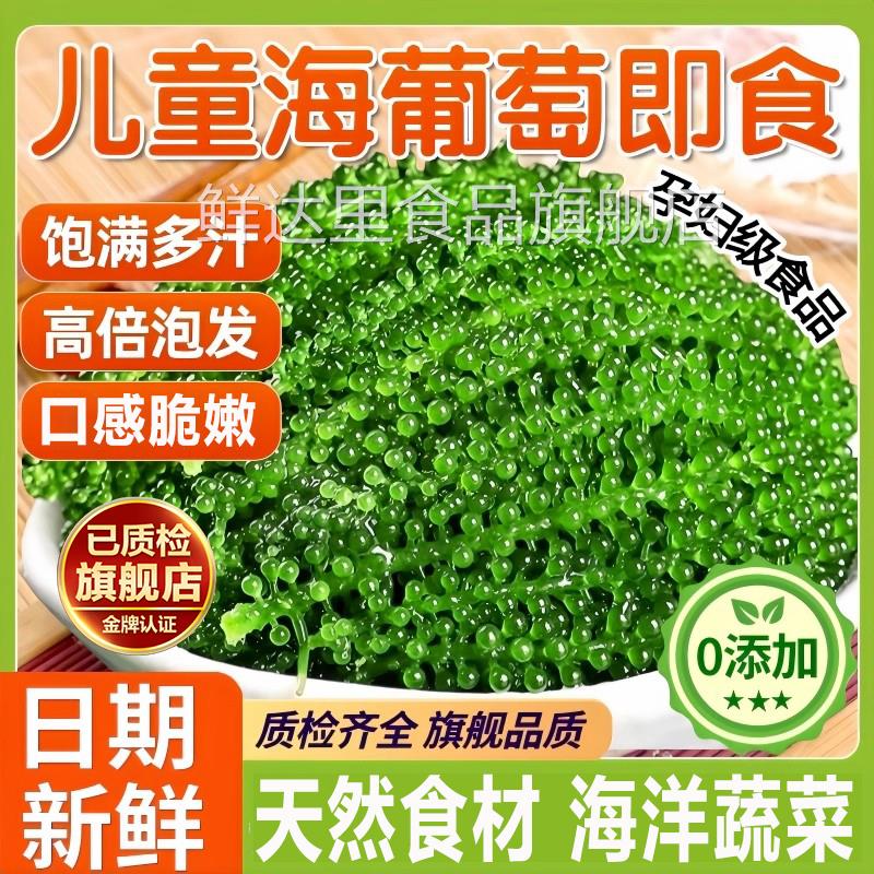 儿童海葡萄即食官方旗舰店新鲜盐渍鱼子酱孩搭海带草丝海藻裙带菜