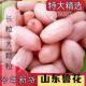 2024年新鲜特大粒花生米精选去壳生花生米晒干粉红皮长粒花生