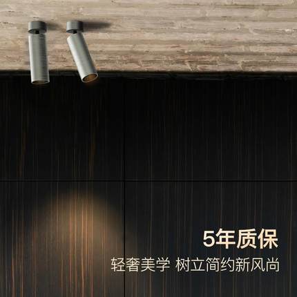 仙人掌先生明装可调角极简中古风拉丝工艺铝本色护眼嵌装LED射灯
