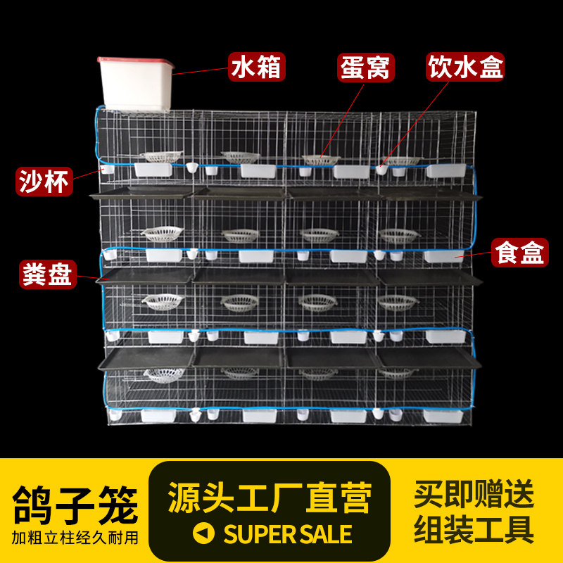 鸽子笼养殖笼12位鸽子用品用具家用配对笼16位大型繁殖笼鸽舍