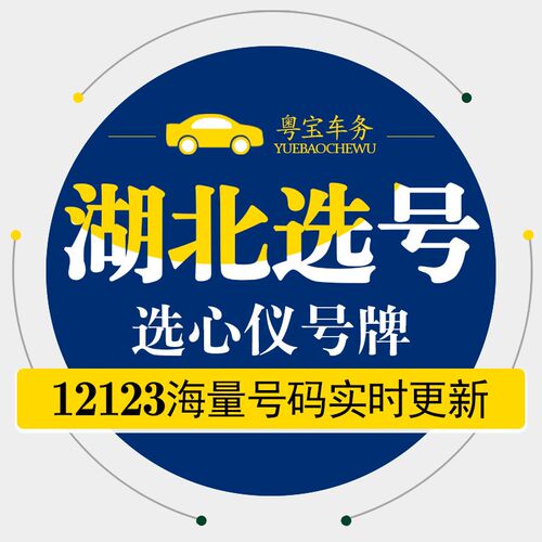 武汉鄂州荆州随州咸宁汽油新能源汽车自编自选汽车牌选.号车牌选