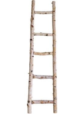 白桦木梯子橱窗花艺装饰摆件户外花园庭院幼儿园收纳布置拍摄道具