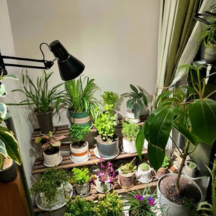 专业植物补光灯全光谱绿植生长灯室内落地仿太阳多肉养花卉光照灯