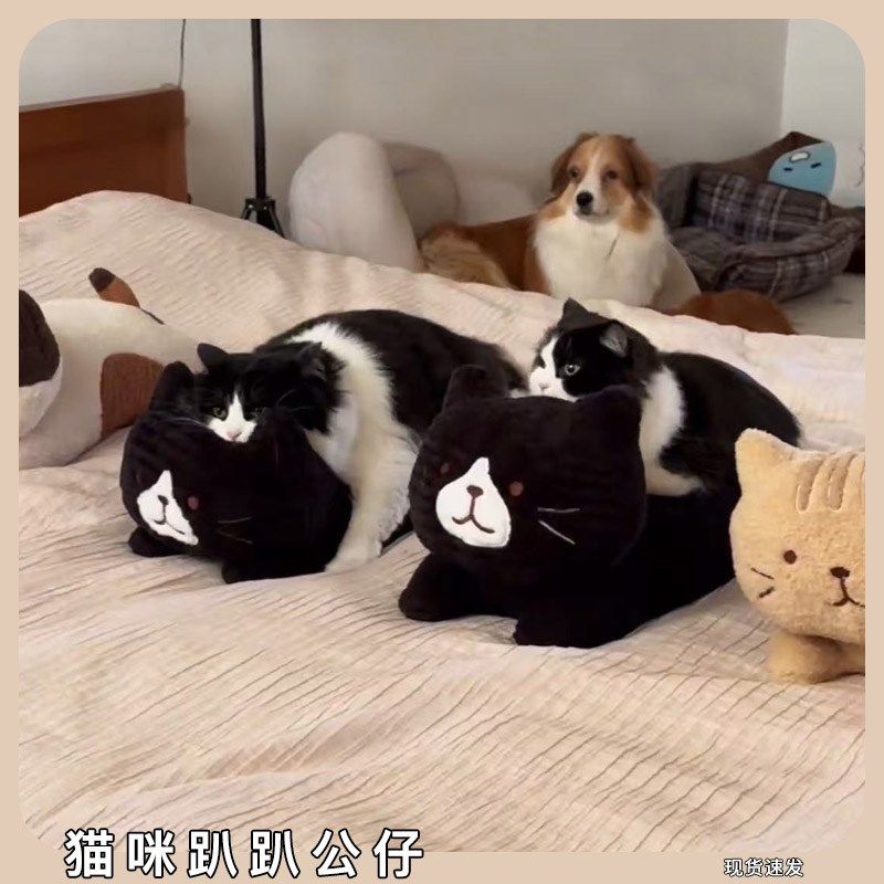 奶牛猫咪趴趴公仔三花猫可爱抱枕哄睡陪伴毛绒玩偶床上卧室靠枕,玩具/童车/益智/积木/模型,毛绒/玩偶/公仔/布艺类玩具,淘宝优惠券,粉丝福利购,淘宝优惠卷