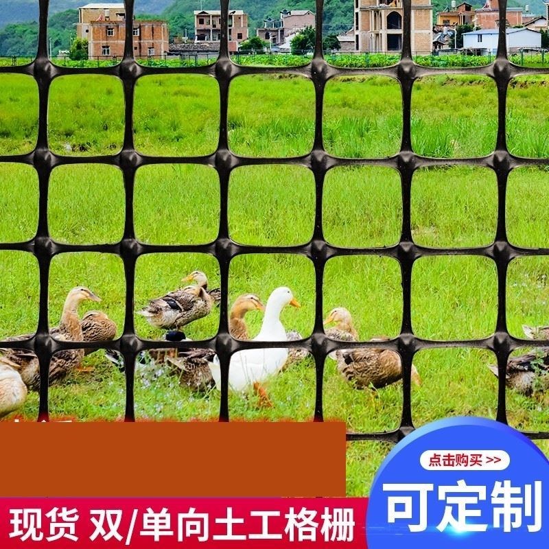 土工格栅单双向玻纤路基护坡钢塑C路面防K裂网养鸡围栏塑料网养殖