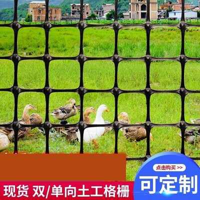 土工格栅单双向玻纤路基护坡钢塑C路面防K裂网养鸡围栏塑料网养殖