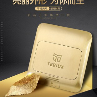 特瑞克斯地插座弧形阻尼全铜防水地面插座五孔地插隐藏式地插座