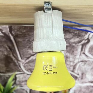 芦丁鸡温度恒温器保温灯保暖箱取暖灯鹌鹑小鸡育雏加温加热灯