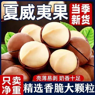 【奶香.净重】新货夏威夷果500g/袋奶油坚果炒货休闲零食批发袋装