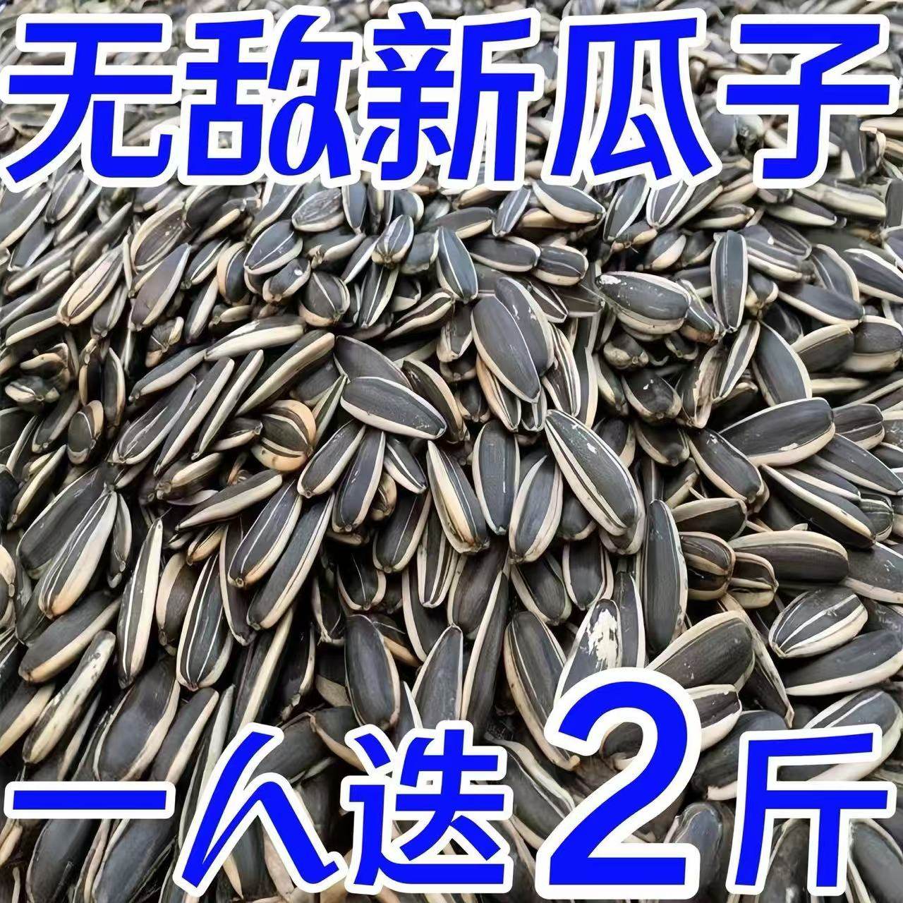 【特大颗粒】内蒙古新货瓜子葵花籽特价瓜子原味炒熟炒货散装批发