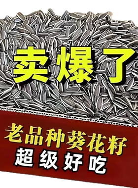 【大颗粒更划算】内蒙古新货瓜子葵花籽特价瓜子原味炒货散装批发