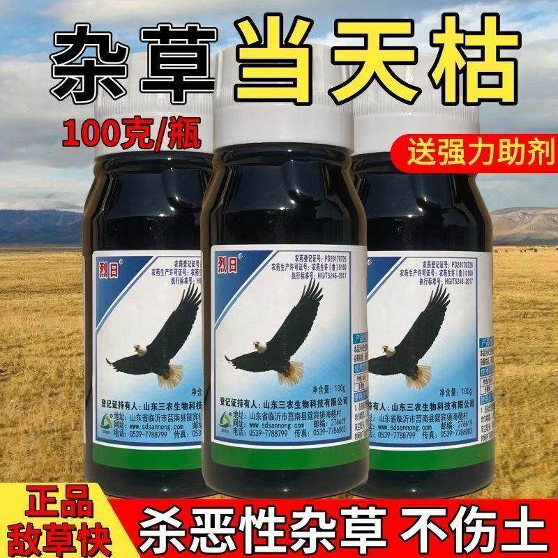 敌草快强力除草剂批发斩草除根百草连根一扫光果园高浓度灭草剂