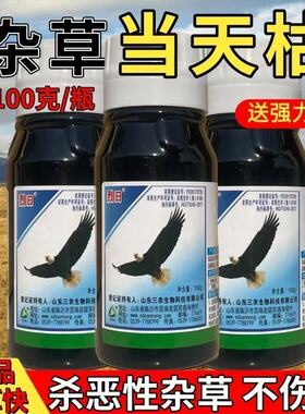 敌草快强力除草剂批发斩草除根百草连根一扫光果园高浓度灭草剂