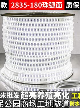 220Vled灯带白光户外防水工程127V养殖塔吊工地24V36V地下室