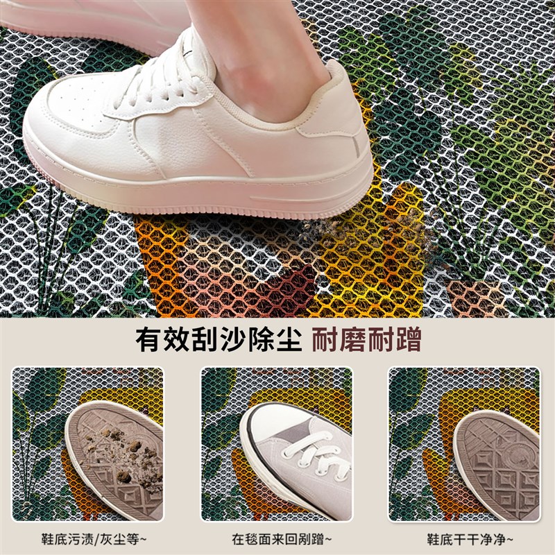 入户门垫进门口地垫丝圈防滑垫户外门口脚垫室外2025新款耐脏地毯