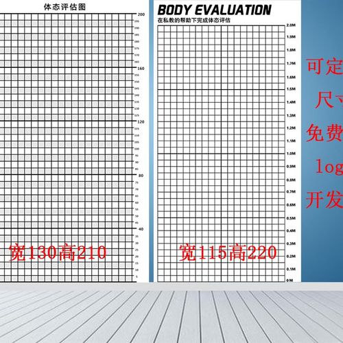 体态评估图健身房体测表瑜伽私教身体形体测评脊椎修复墙壁画装饰