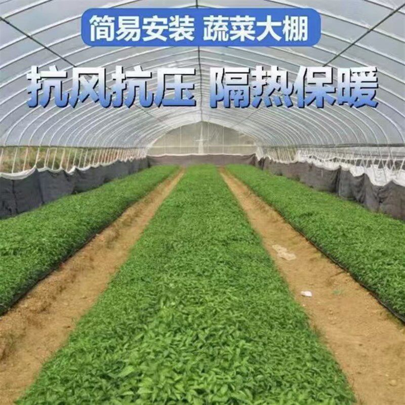 明航暖棚温室 养殖种植大棚 热镀锌大棚骨架薄膜温室 日光温室