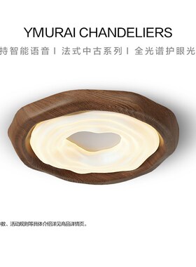 中古风房间卧室吸顶灯2q024年新款原木风胡桃木色书房护眼曲奇灯