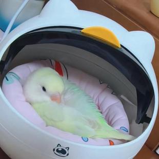 鹦鹉垃圾桶桌面鸟窝迷你家用小号带盖高颜值办公室客厅四季通用