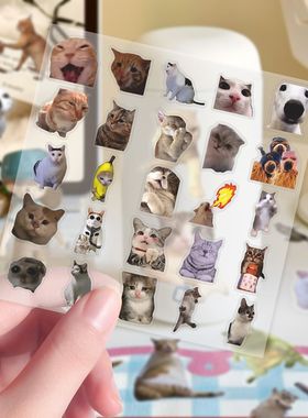 303贴透明款猫meme贴纸ins风创意简约卡通猫咪表情包笔记本贴画