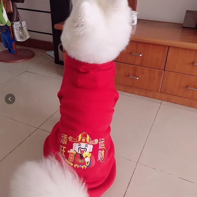 大狗狗衣服秋冬装新年喜庆柴犬金毛萨摩耶拉布拉多中型大犬秋季