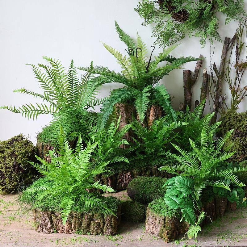 创意青苔树皮装饰摆件花器森系造景布置热带雨林场景搭配拍照道具