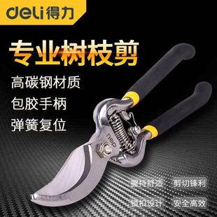剪枝剪刀花剪园艺家用专业修剪树枝果树园林工具修枝剪刀省力