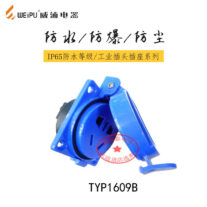 WEIPU威浦工业插多功能新国标TYP1609B防水IP65欧式插座10A/3芯