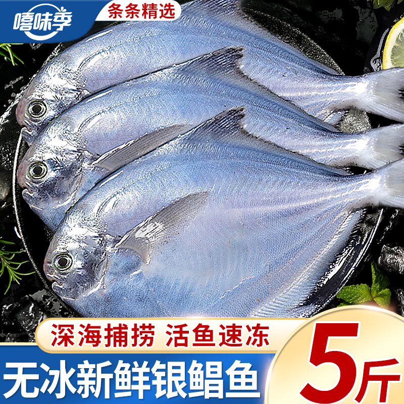 鲳鱼新鲜冷冻银鲳鱼特大白鲳鱼鲜活海鱼大鲳鳊鱼昌鱼平鱼海鲜水产