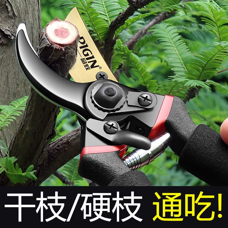 德国进口钢SK5修枝剪省力家用果树园林粗枝剪嫁接花艺园艺剪日本