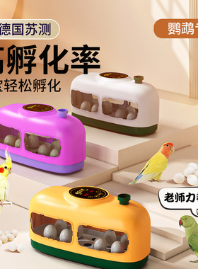 虎皮鹦鹉蛋孵化器专用玄凤鹦鹉受精蛋孵蛋器小型孵化箱家用牡丹