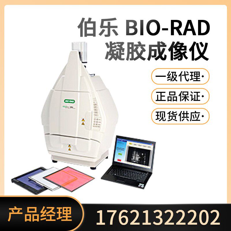 美国伯乐Bio-Rad凝胶成像系统凝胶成像仪现货一级代理