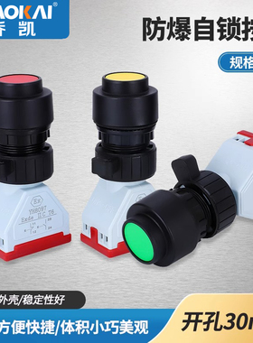 BA8097自锁控制按钮隔爆防爆防水腐防暴控制箱开孔30mm停止启动