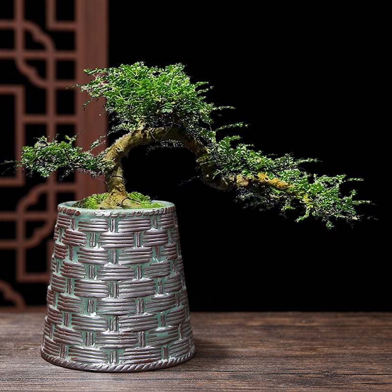 中国风古典哥窑大号陶瓷清仓简约吊兰绿植兰花多肉蝴蝶兰专用花盆