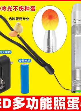 照蛋器手电筒验蛋孵蛋孵化机器专用照蛋灯种蛋检查可充电冷光LED