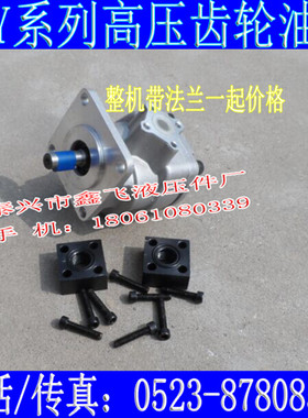 GPY/F3R/F4R/F5.8R/F7R/GPY/F8R/F9R/F10R/F11.5R齿轮油泵CPY 12R