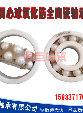调心球全陶瓷轴承1201 1202 1203 1204 1205 1206 1207进口超高速