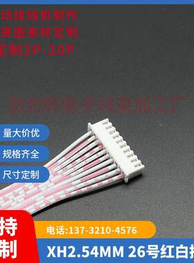 XH2.54MM-10P 红白排线 线长100CM/1米 单头插壳 一头镀锡6.3插簧