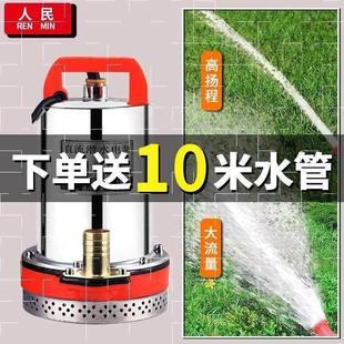 直流潜水泵12V24V抽水机48V60V伏电动车电瓶车农用小型家用抽水泵
