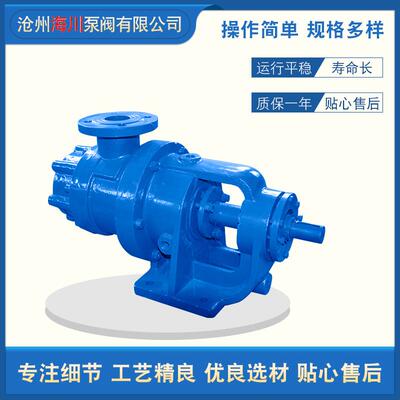 NYP高粘度转子泵304不锈钢材质齿轮泵皂角用胶水输送内啮合保温泵