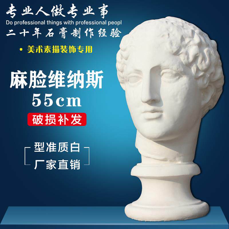 巴特农石膏头像素描教学模型 艺术考试静物教具 美术用品