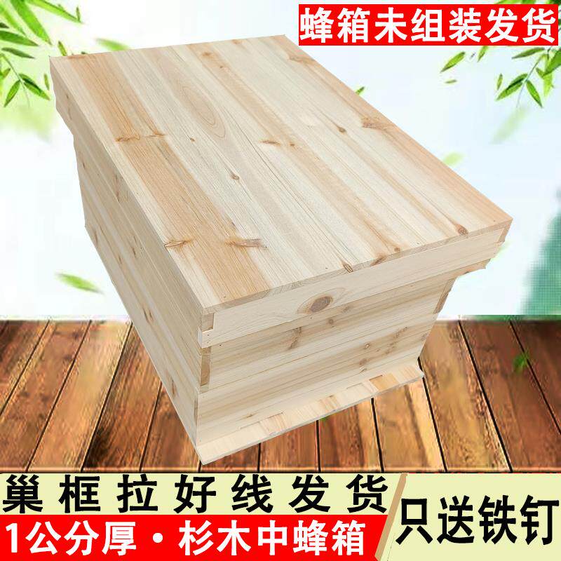 只送铁钉杉木中蜂箱七框箱子土蜂诱蜂箱引蜂蜂桶养蜂套装蜂场育王