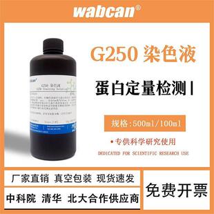 考马斯亮蓝试剂盒快速染色液G250染色液脱色液 BSA 牛血清白蛋白V