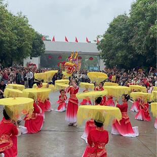 倩影龙吟幼儿园儿童学生舞蹈伞走秀开场舞舞龙仙气流苏纱幔绸布伞