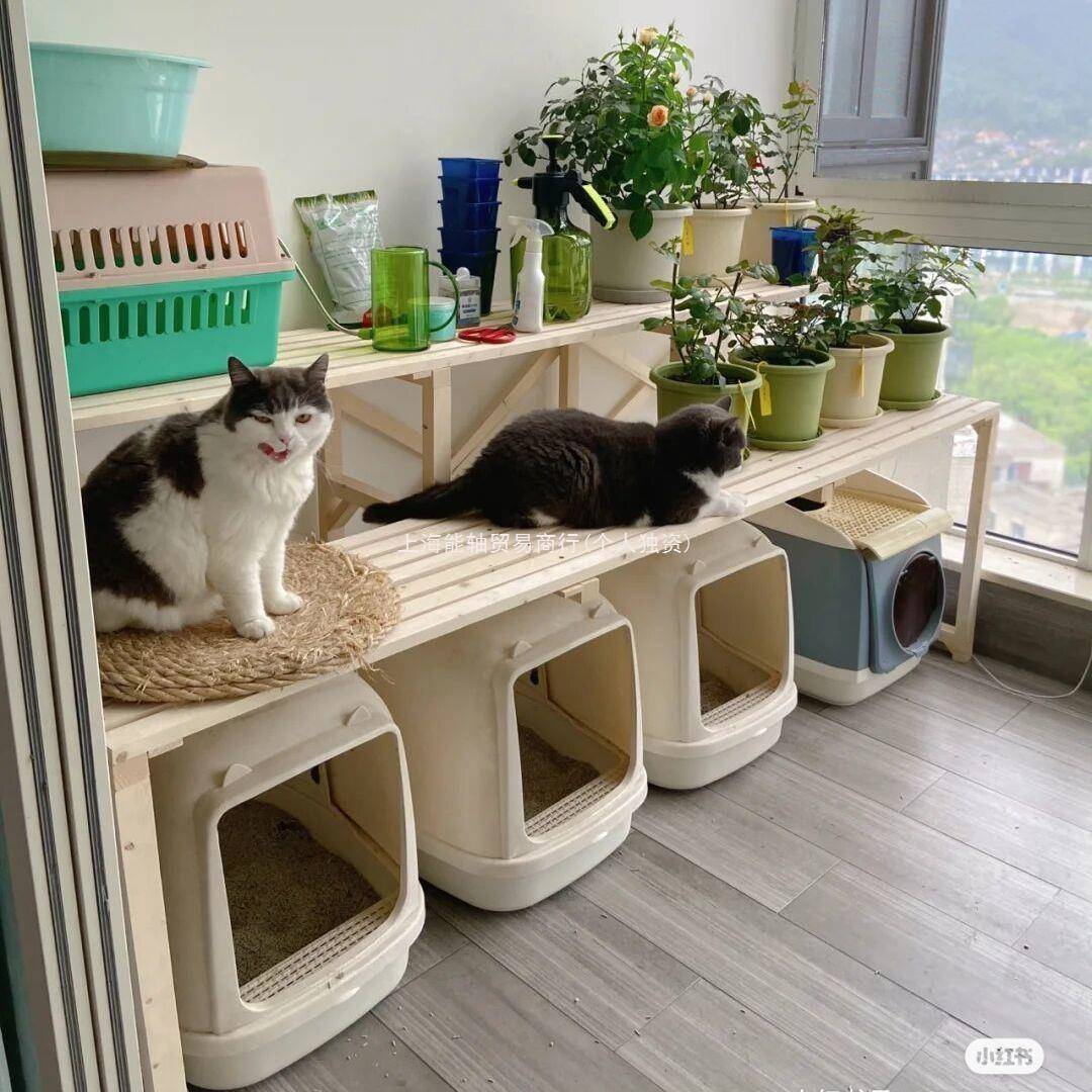 (活动价）架&实木架 猫砂盆置花架阶梯 阳台架多层收纳落地架猫物