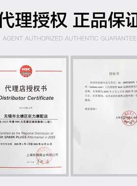 {活动价}水鸟R1200GS HP4 R1200R/RT S1000R XR C650 G310R NGK火