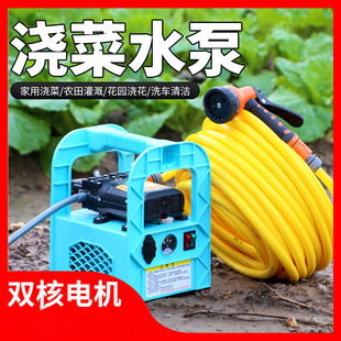 充电式 抽水泵浇菜浇水机抽水机菜地浇水农用浇地灌溉赢朔其他