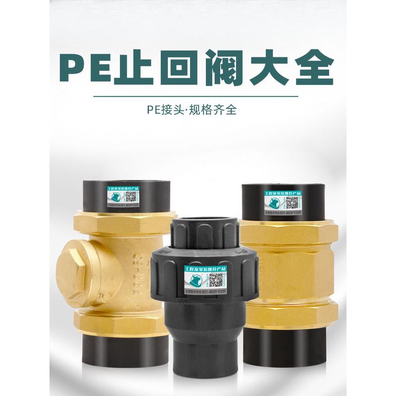 PE回水止回阀单向阀逆止阀32水泵立式热熔塑料50水管防倒流止水阀